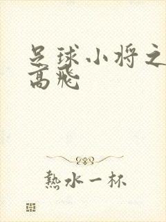 足球小将之展翅高飞