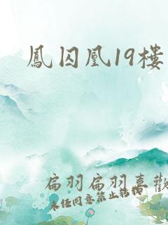 凤囚凰19楼