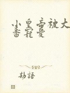 小皇帝被大臣轮番宠爱