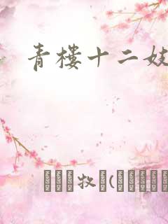 青楼十二妓