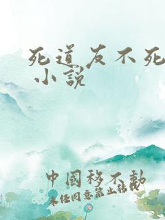 死道友不死贫道 小说
