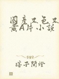 国产又色又爽又黄A片小说