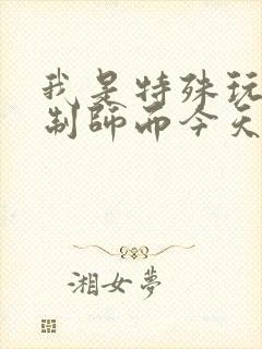 我是特殊玩具定制师而今天的客户