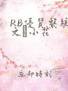 RB优质系统全文寀小花