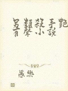 另类杀手艳福星有声小说