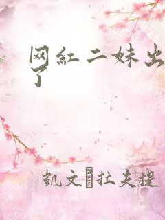 网红二妹出啥事了