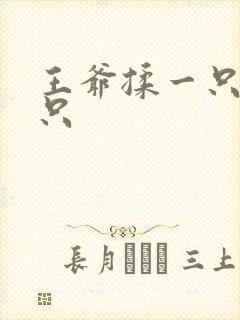王爷揉一只舔一只