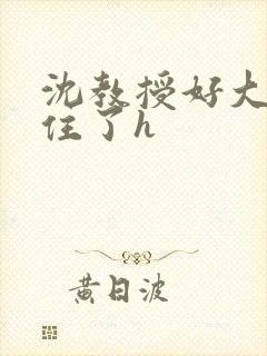 沈教授好大含不住了h