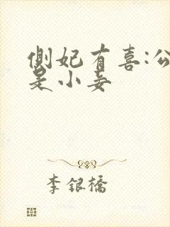 侧妃有喜:公主是小妾