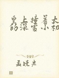 皇上撞着太子妃的深处小初