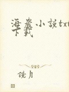 海岩小说txt下载