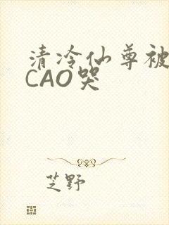 清冷仙尊被强制CAO哭