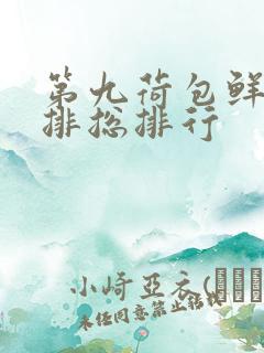 第九荷包鲜辣肉排总排行