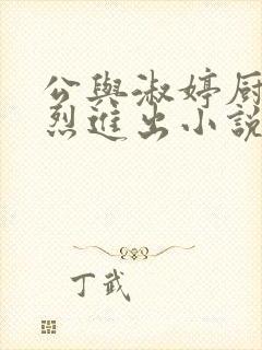 公与淑婷厨房猛烈进出小说