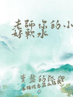 老师你的小兔子好软水