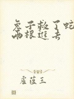 兔子救了蛇被蛇两根进去