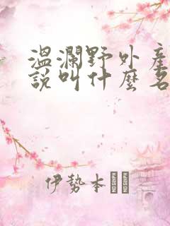 温澜野外产子小说叫什么名字