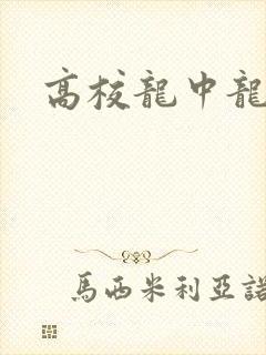 高校龙中龙下载