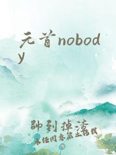 元首nobody