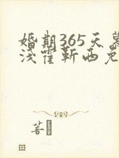 婚期365天慕浅霍靳西免费阅读