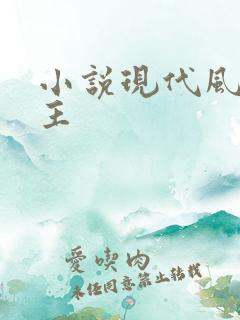 小说现代风流霸主