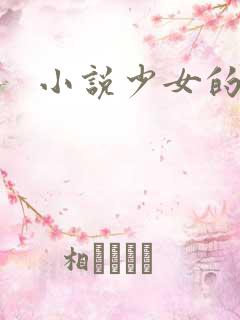 小说少女的心