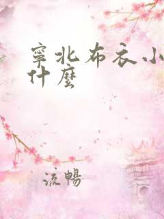 宁北布衣小说叫什么