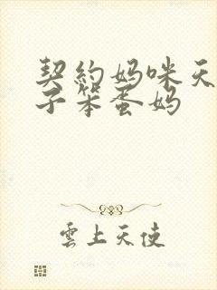 契约妈咪天才儿子笨蛋妈