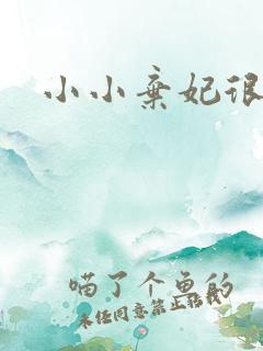 小小弃妃很倾城