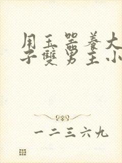 用玉器养大的皇子双男主小说