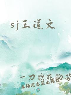 sj王道文