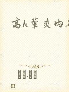 高h荤爽肉欲文