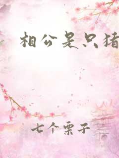 相公是只猪