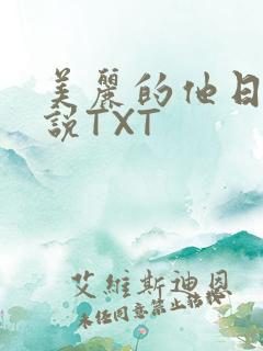 美丽的他日剧小说TXT