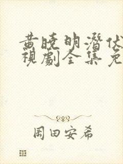 黄晓明潜伏者电视剧全集免费观看