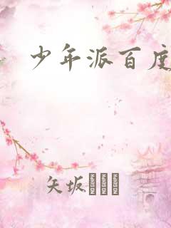 少年派百度百科