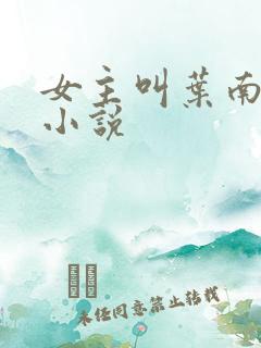 女主叫叶南初的小说