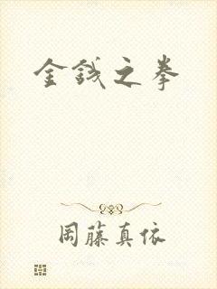 金钱之拳