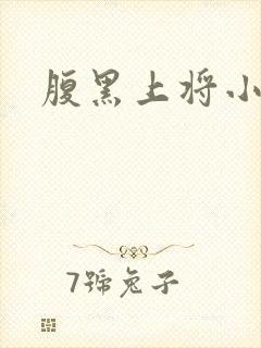 腹黑上将小小妻