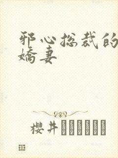 邪心总裁的纯情娇妻