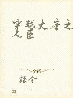 穿越大唐之位极人臣