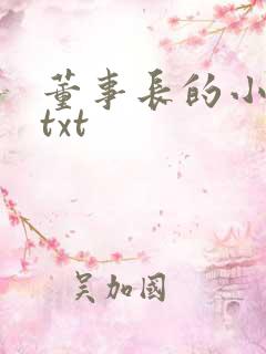 董事长的小王爷txt