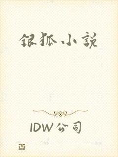 银狐小说