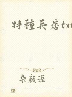 特种兵痞txt
