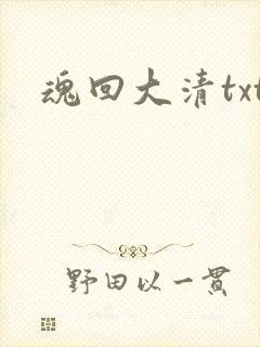 魂回大清txt