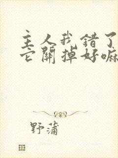 主人我错了请把它关掉好嘛