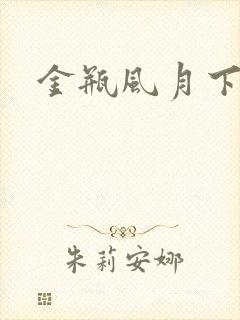 金瓶风月下载