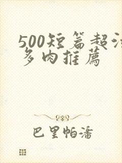 500短篇超污多肉推荐