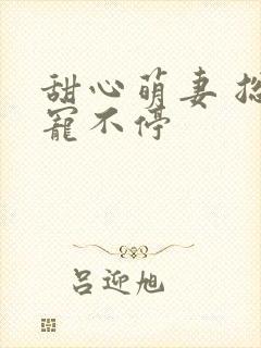 甜心萌妻 总裁宠不停