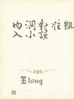 肉洞对准粗大坐入小说